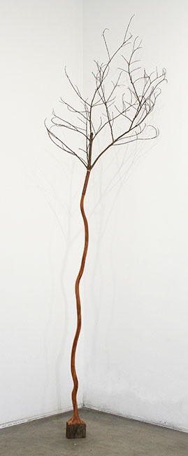 rvore cip I | 2010 | Madeira | 281 x 12 x 6 cm