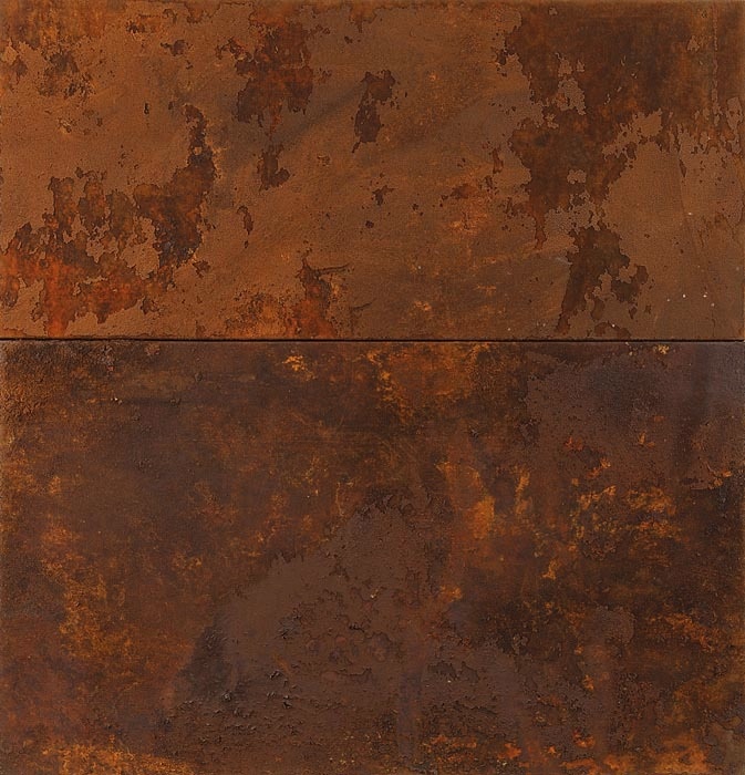 Sem ttulo | 1997/1998 | Pigmentos e oxidao sobre lona | 115 x 110 cm