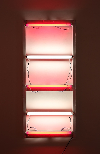 Domestic viability | 2010 | Acrlico sobre alumnio e lmpadas fluorescentes | 150 x 68 x 13 cm